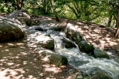 Parc Floral de Bordeaux (14).
